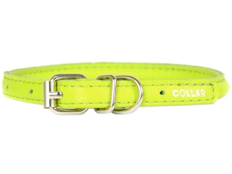 COLLAR Ошейник круглый 13мм XL CoLLaR Glamour для длинношерстных собак длина 53-61см зеленый